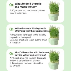 Katzenminz-Pflanzgefäß - Kräuter-Snacktopf für Katzen