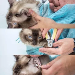 Katzenpflegetasche – Kratzfestes Netz-Pflegewerkzeug