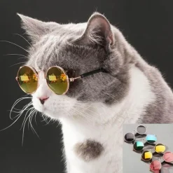 Katzensonnenbrille – Stylische coole Brillen für Haustiere