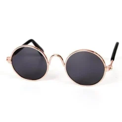 Katzensonnenbrille – Stylische coole Brillen für Haustiere