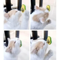Katzenspielzeug zur Wandmontage – Avocadoball-Spielzubehör für Katzenspaß