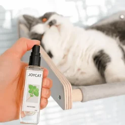 Katzentrinkbrunnen – Automatischer Trinkspender für Haustiere für frische Flüssigkeit