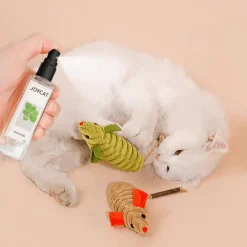 Katzentrinkbrunnen – Automatischer Trinkspender für Haustiere für frische Flüssigkeit