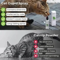 Katzentrinkbrunnen – Automatischer Trinkspender für Haustiere für frische Flüssigkeit