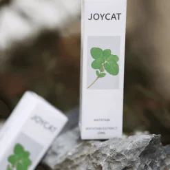 Katzentrinkbrunnen – Automatischer Trinkspender für Haustiere für frische Flüssigkeit