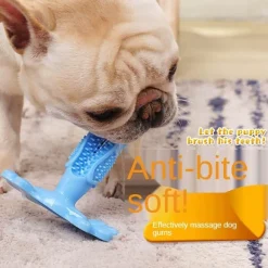 Kauspielzeug für Hunde aus Naturkautschuk – Zahnreiniger für Haustiere