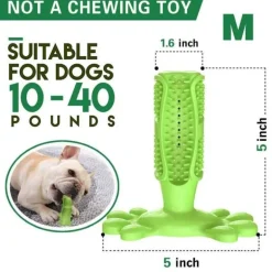 Kauspielzeug für Hunde aus Naturkautschuk – Zahnreiniger für Haustiere