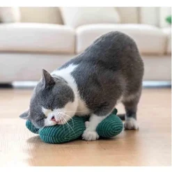 Kauspielzeug für Hunde in Form eines Kaktus – langlebiges Kauspielzeug für Haustiere zum Spielen