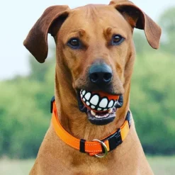 Kauspielzeug für Hunde mit Smiley-Motiv aus Gummi – Lustiges Kauspielzeug für Haustiere