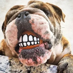 Kauspielzeug für Hunde mit Smiley-Motiv aus Gummi – Lustiges Kauspielzeug für Haustiere