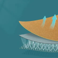 Kühlendes Haustierbett – Sommerkomfort für Hunde und Katzen