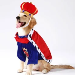 Königskostüm für Haustiere – Entzückendes königliches Outfit für Hunde und Katzen