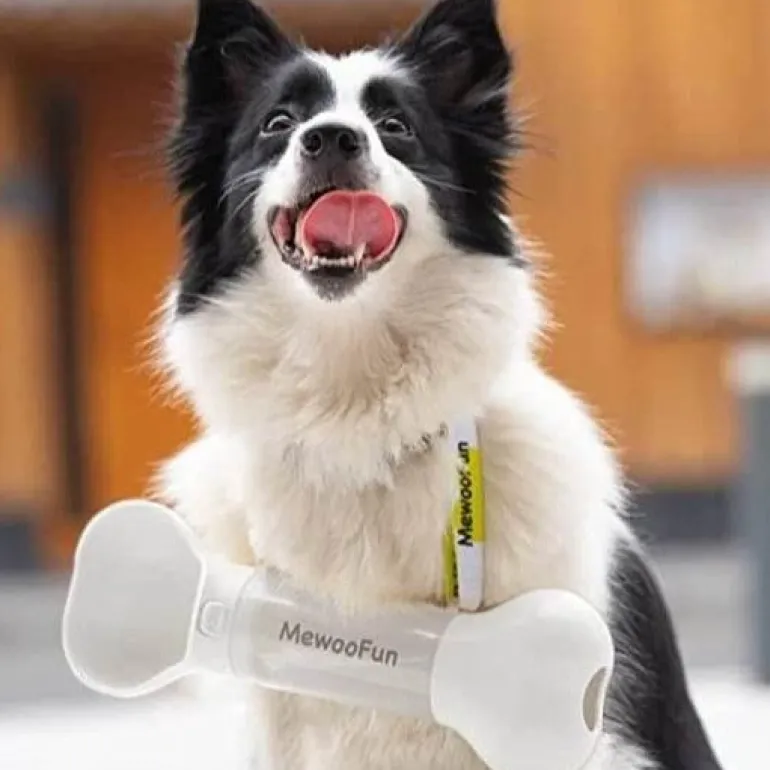 Knochenförmige Hundewasserflasche – Stilvolles Trinkzubehör für Haustiere