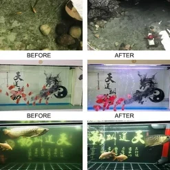 Öko-Aquariumfilter – Wasserreiniger mit Aktivkohle