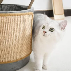 Kratzschutzmatte für Katzen – Schutz für Sofa und Möbel vor Schäden durch Haustiere