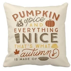 Kürbisgewürz-Halloween-Kissenbezüge - Herbstdeko-Kissen