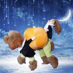 Kürbis-Hundekostüm – Süßes Halloween-Haustier-Outfit