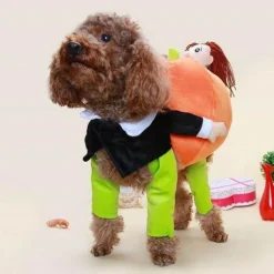 Kürbis-Hundekostüm – Süßes Halloween-Haustier-Outfit