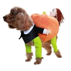 Kürbis-Hundekostüm – Süßes Halloween-Haustier-Outfit