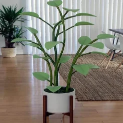 LED Plant Night Light - Decorative Houseplant Lamp