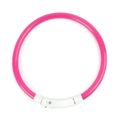 LED-Hundehalsband – Superhelles Leuchtzubehör für mehr Sicherheit