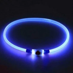 LED-Hundehalsband – Superhelles Leuchtzubehör für mehr Sicherheit