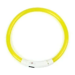 LED-Hundehalsband – Superhelles Leuchtzubehör für mehr Sicherheit