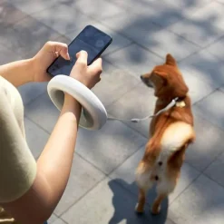 LED-Hundeleine – Leuchtendes Haustierhalsband-Zubehör