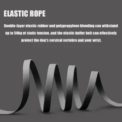 LED-Hundeleine – Leuchtendes Haustierhalsband-Zubehör