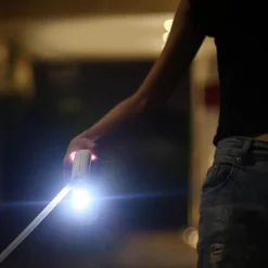 LED-Hundeleine – Leuchtendes Haustierhalsband-Zubehör