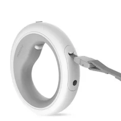 LED-Hundeleine – Leuchtendes Haustierhalsband-Zubehör