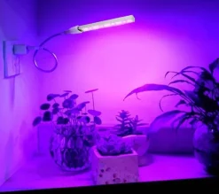 LED-Wachstumslicht – USB-Phytolampe für Zimmerpflanzen