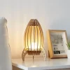 Lunar Capsule Table Lamp - Modern Decorative Lighting