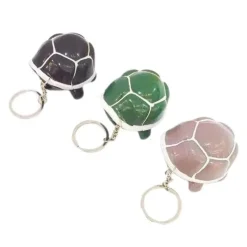 Lustiges Zappelspielzeug mit Schildkröte für Kinder – skurriler Stressabbau