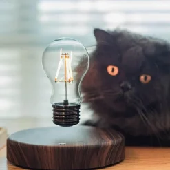 Magnetschwebe-LED-Glühbirne - Schwebende Lichtlampe