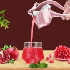 Manueller Fruchtentsafter – Einfaches Entsaftungswerkzeug