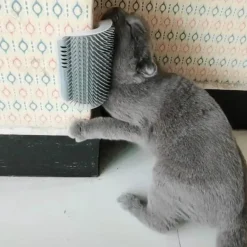 Massagebürste für Katzen – Komfortables Werkzeug zur Haustierpflege