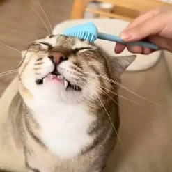 Massagebürste zur Katzenpflege – Interaktives Haustierspielzeug mit Ständer