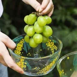 Mimosa-Glasschale – elegantes, dekoratives Serviergericht für die Unterhaltung