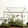 Mini-Gewächshaus-Terrarium – Tisch-Pflanzendisplay