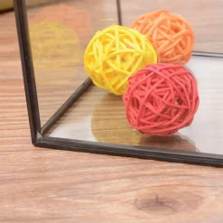 Mini-Gewächshaus-Terrarium – Tisch-Pflanzendisplay