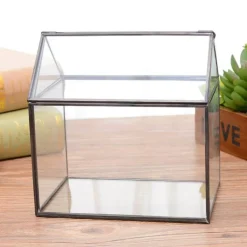Mini-Gewächshaus-Terrarium – Tisch-Pflanzendisplay