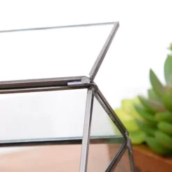 Mini-Gewächshaus-Terrarium – Tisch-Pflanzendisplay