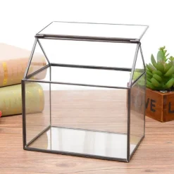 Mini-Gewächshaus-Terrarium – Tisch-Pflanzendisplay