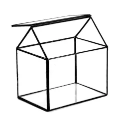 Mini-Gewächshaus-Terrarium – Tisch-Pflanzendisplay