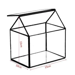 Mini-Gewächshaus-Terrarium – Tisch-Pflanzendisplay