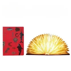 Minimalistische LED-Storybook-Lampe – Elegantes Buchlicht