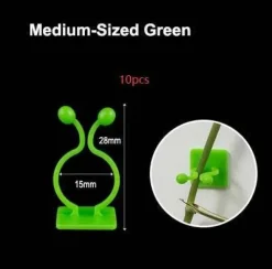 Mini-Pflanzen-Wandclips – selbstklebende Pflanzenhalter für den Innenbereich