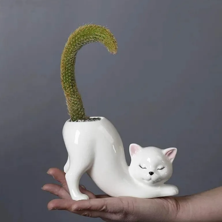 Miyakō Tailspring Planter – Stilvoller Indoor-Gartenbehälter