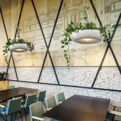 Modern Hanging Lamp - Sky Flower Decorative Light Fixture